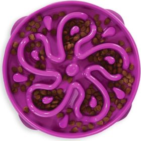 Hound Feeder Slo Bowl  Large 4 Cup Capacity, Slow Feeding, Medium To Large Dogs, Non Slip, Purple, Flower Pattern (Option: PURPLE)